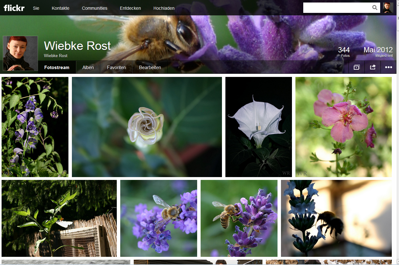 flickr-aug2013