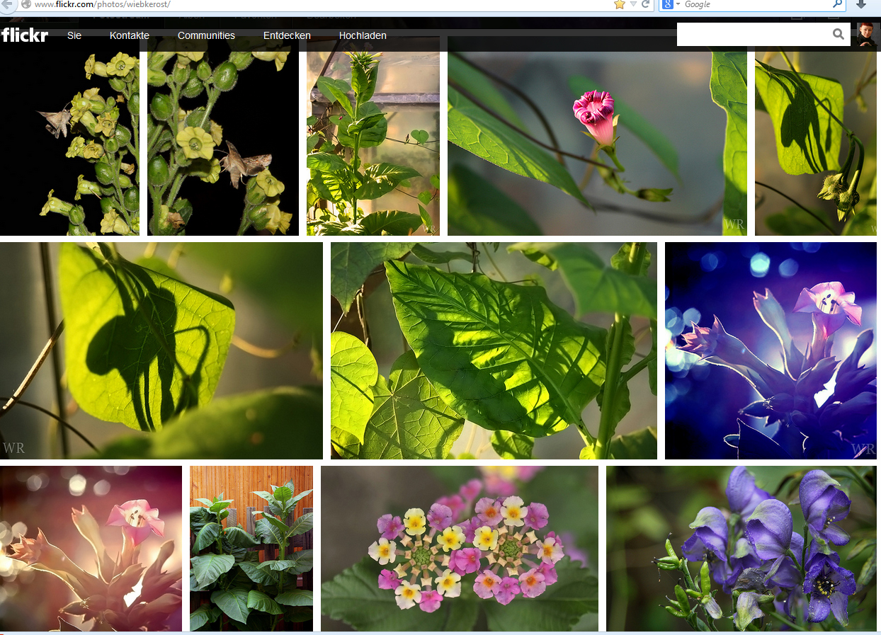flickr-aug20132
