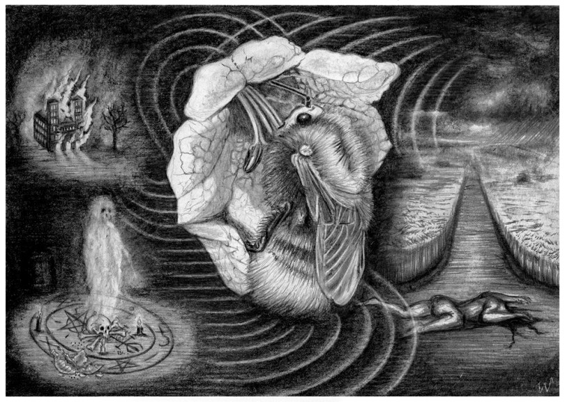 Devil's Playground, 2010