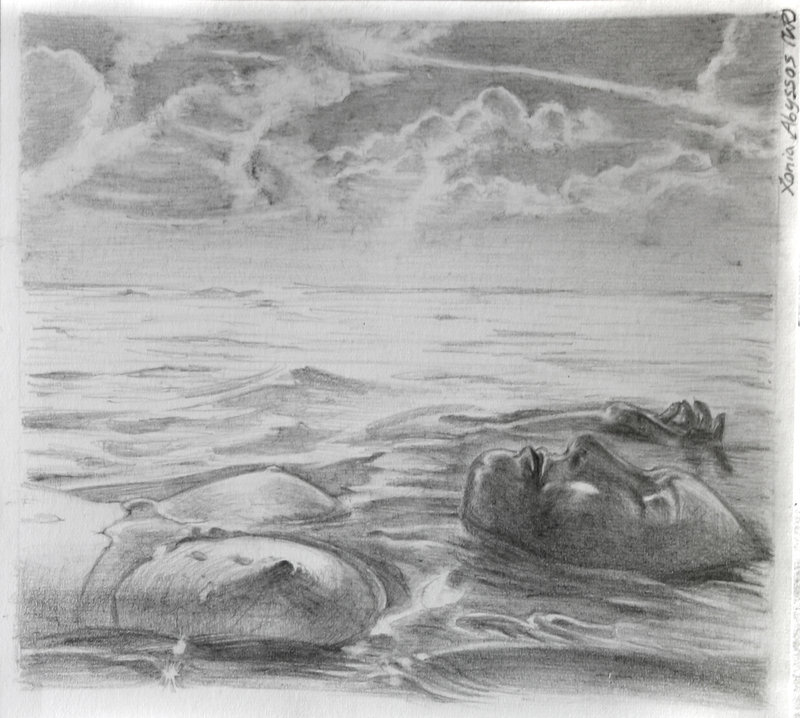 Drifting, pencil, 2012