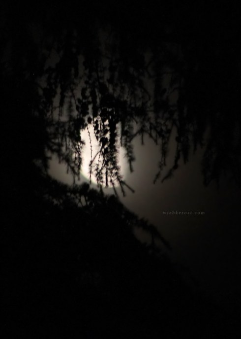 June Waning Moon, 2015