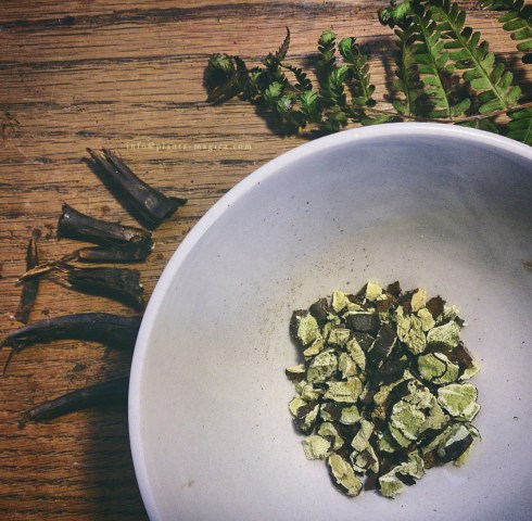 IMG_20160408_153200 copy